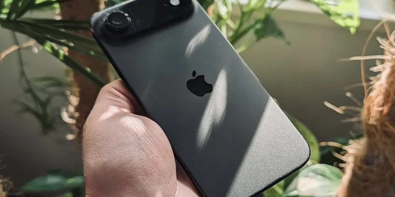 Ciemny iPhone z jednym aparatem w dłoni, otoczony zielenią roślin.