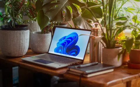 Laptop z systemem Windows 11 otoczony roślinami. Zastanawiasz się, ile zajmuje Windows 11?