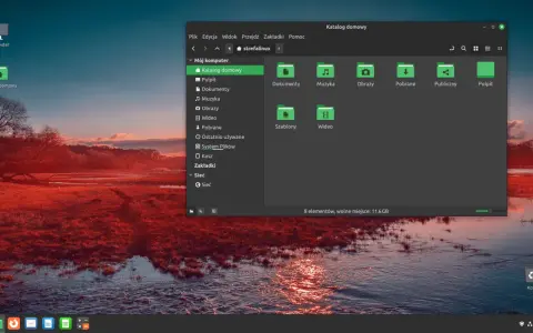 Linux na stary komputer ożywia system. Widok katalogu domowego z ikonami plików i folderów.