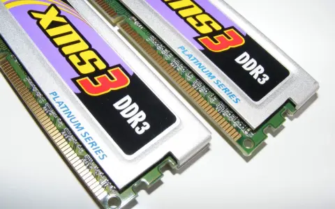 Dwa moduły pamięci RAM DDR3 "XMS3 Platinum Series". Choć wizualnie podobne, kluczowa różnica między DDR3 a DDR3L to napięcie.