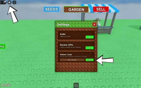 Ustawienia gry z opcją wpisywania kodów do grow a garden.