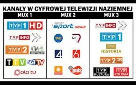 Kanały w cyfrowej telewizji naziemnej: MUX 1, 2, 3. Jak odbierać bez dekodera? Lista kanałów TVP, Polsat, TVN.