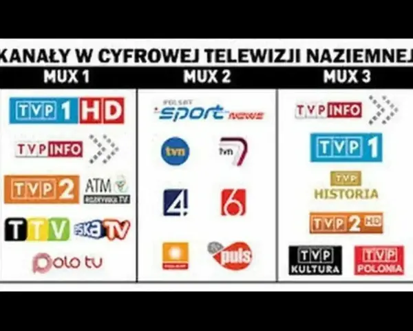 Kanały w cyfrowej telewizji naziemnej: MUX 1, 2, 3. Jak odbierać bez dekodera? Lista kanałów TVP, Polsat, TVN.