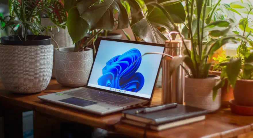 Laptop z systemem Windows 11 otoczony roślinami. Zastanawiasz się, ile zajmuje Windows 11?