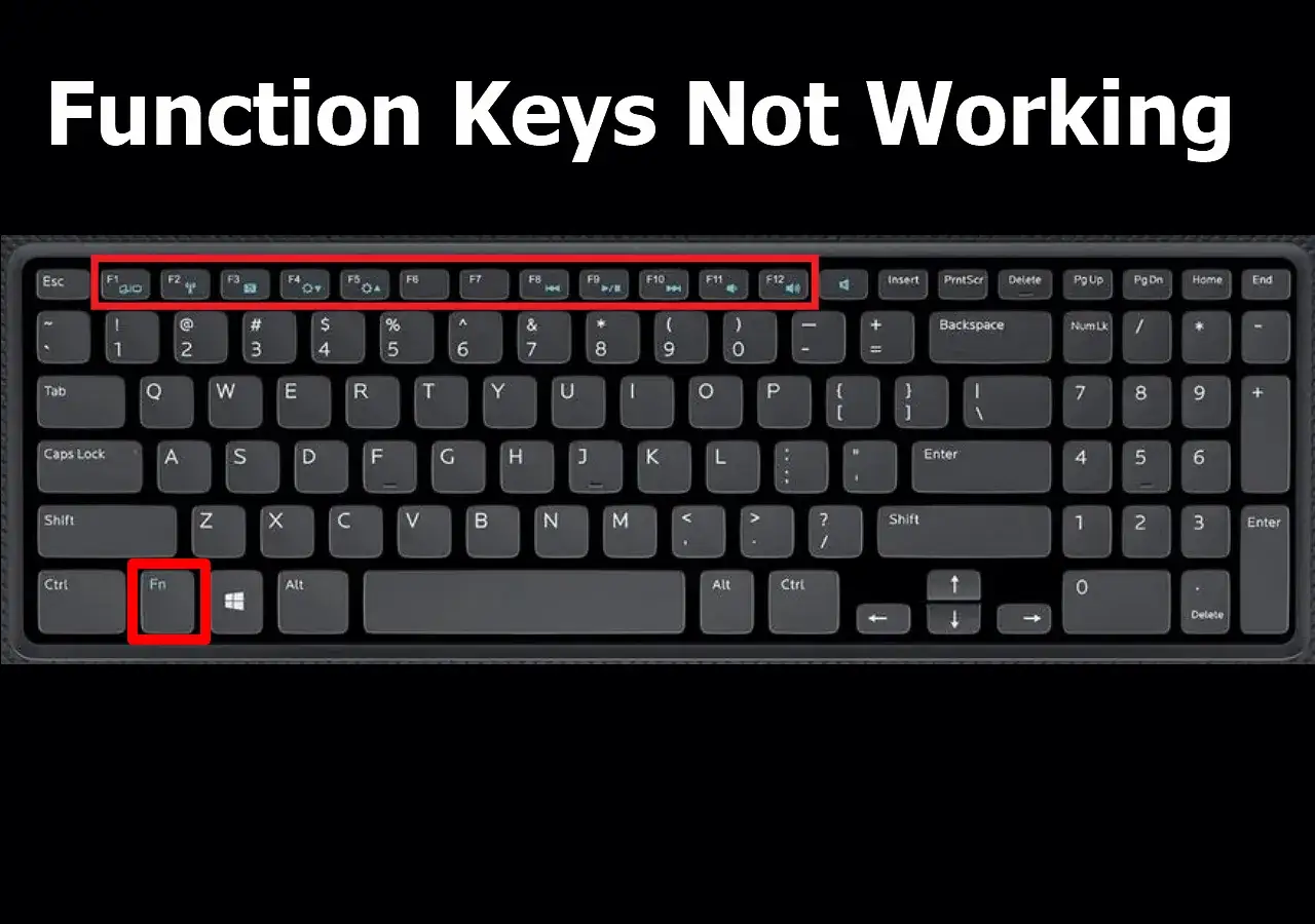 Klawisze funkcyjne F1-F12 na klawiaturze laptopa, z zaznaczonym klawiszem Fn.